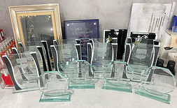 Bella Mai Academy Awards Terri Tibbles