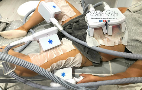 5. Proqual Level 4 Cryolipolysis Fat Freezing Training