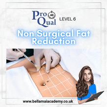 PROQUAL LEVEL 6 NON SURGICAL FAT REDUCTION TRAINING COURSE IN THURROCK ESSEX. BELLA MAI ACADEMY