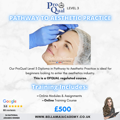 ProQual Ofqual Regulated Level 3 Pathway to Aesthetic Practice. Bella Mai Academy