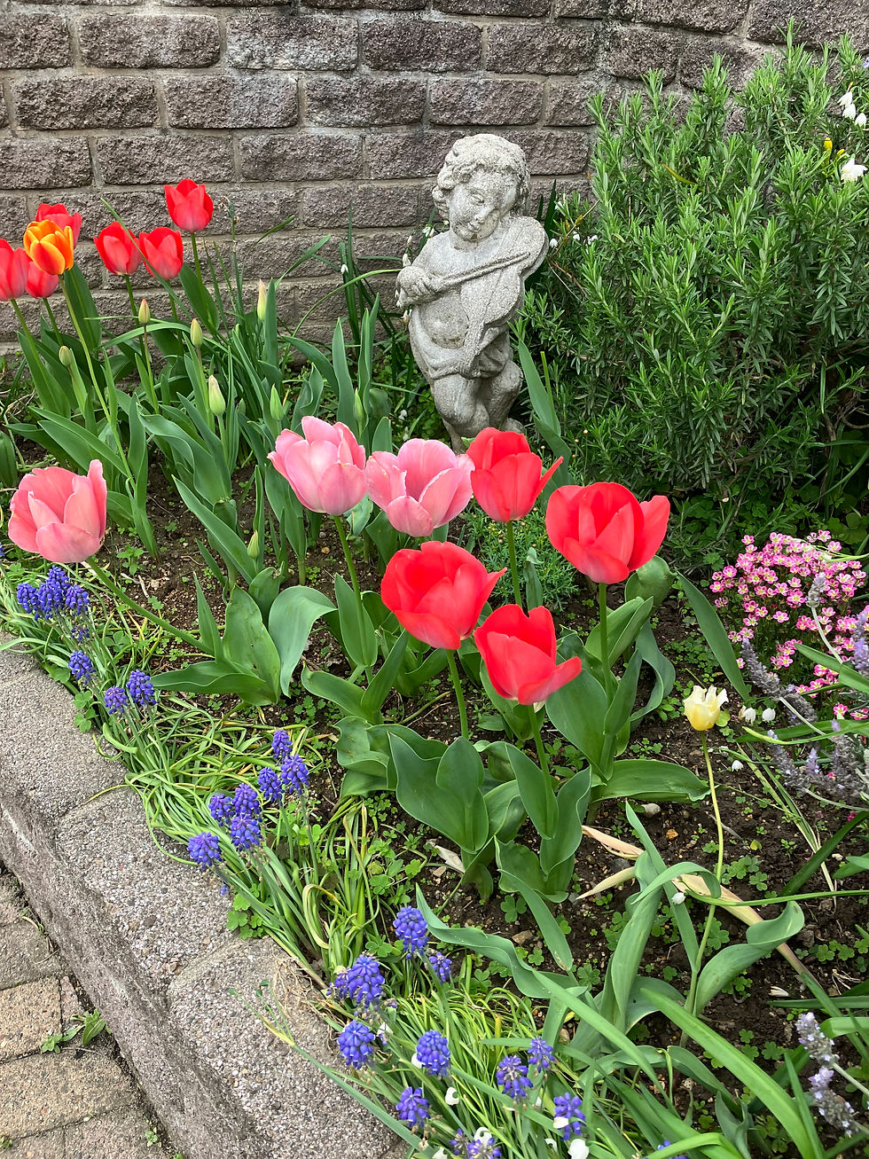 かわいい花たちに癒されます💐