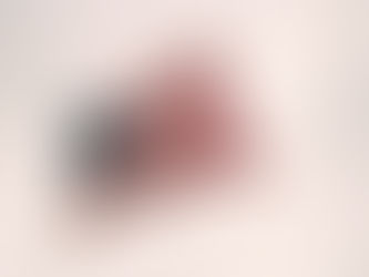 The US Called Out Myanmar's Crimes Against The Rohingya a Genocide, but Are Words Merely Enough?