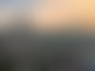 MEDIA STATEMENT: Prioritize Long-Term Security over Short-Term Populism