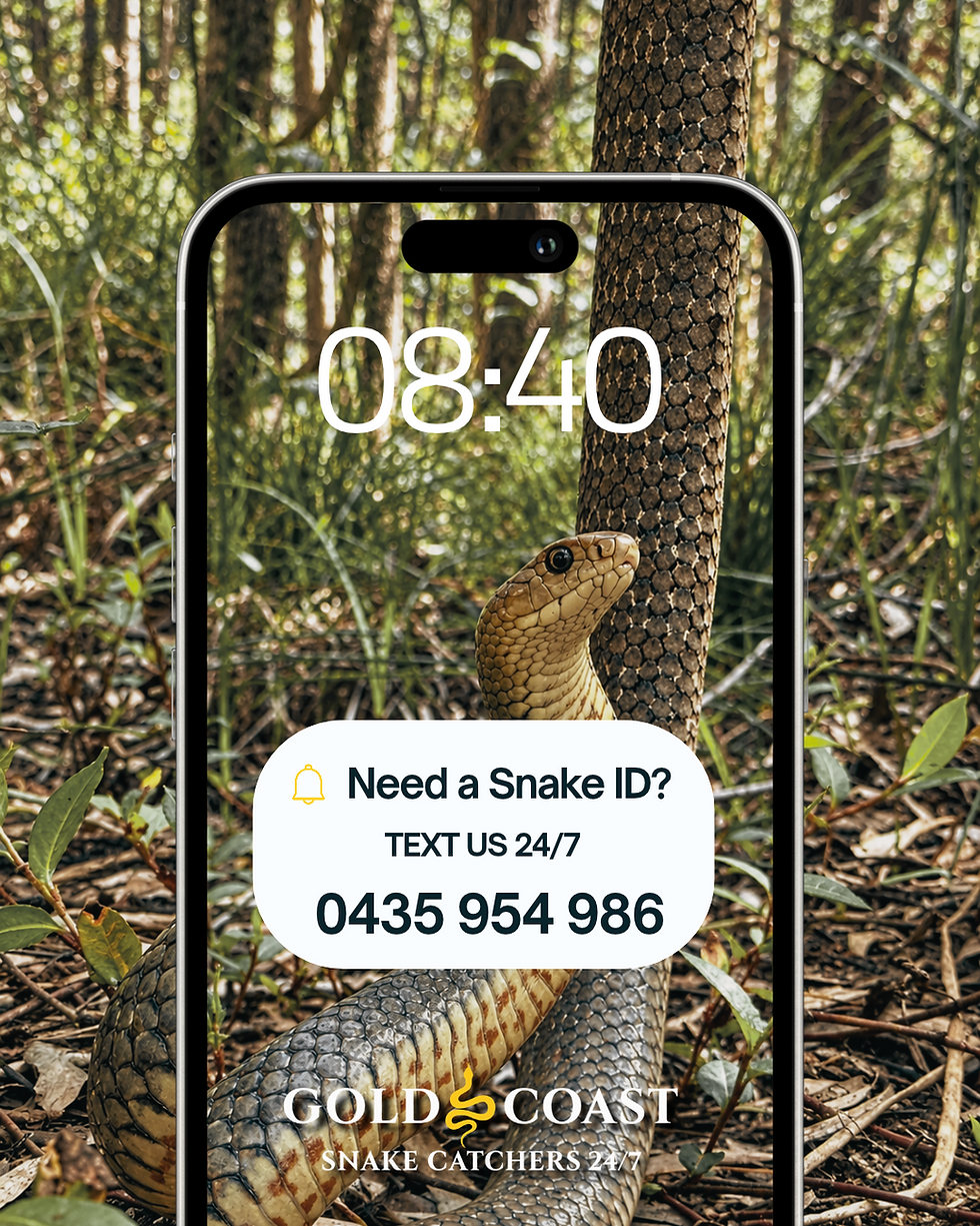 Snake ID snake on phone image for identification