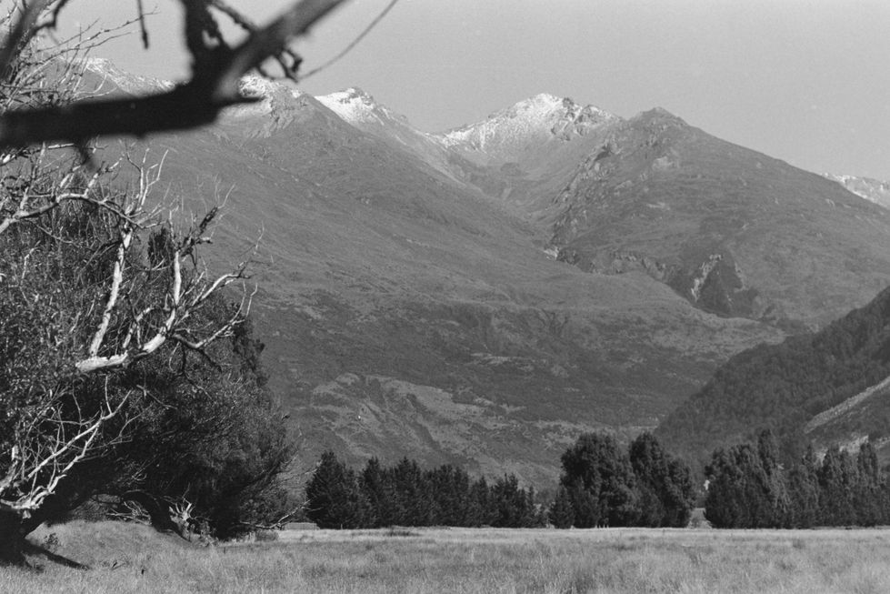 LR_redigerade_Feb2023_NZ-22-min