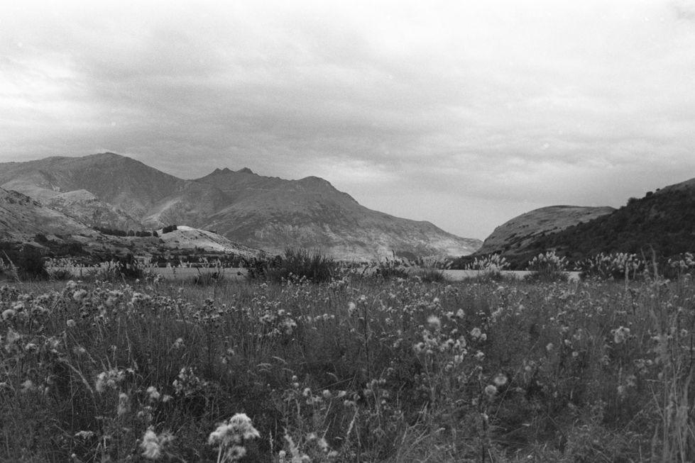 LR_redigerade_Feb2023_NZ-4-min
