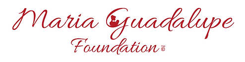 Barajas Foundation Logo.png