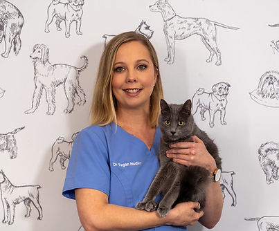 Modbury Vet Clinic - 017.jpg