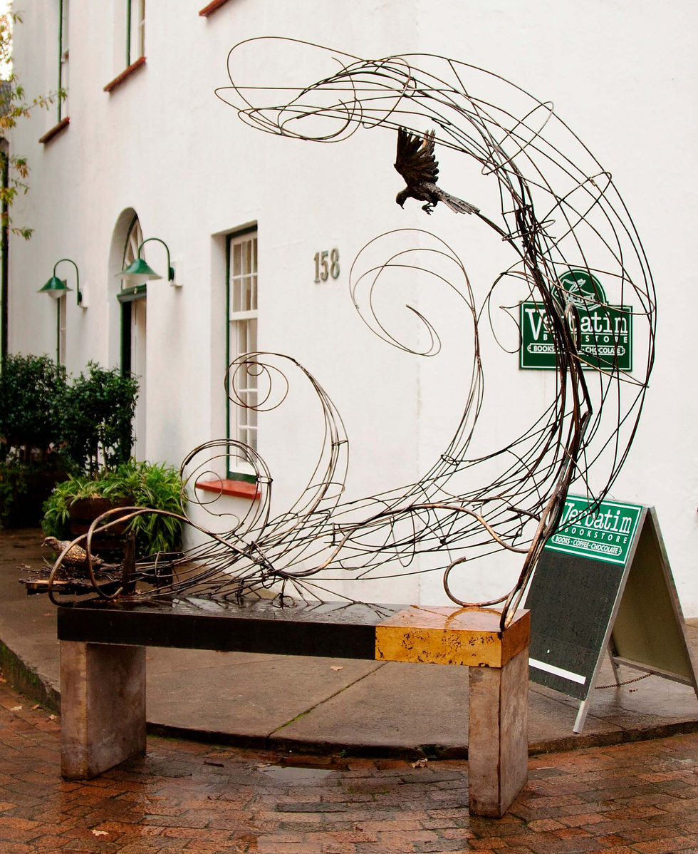 Sit and be part of nature’s family