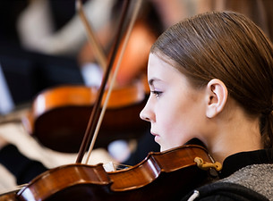 violín