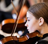 violino