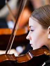 violino