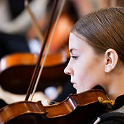 violin