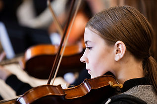 violin