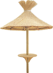 modele parasol.png