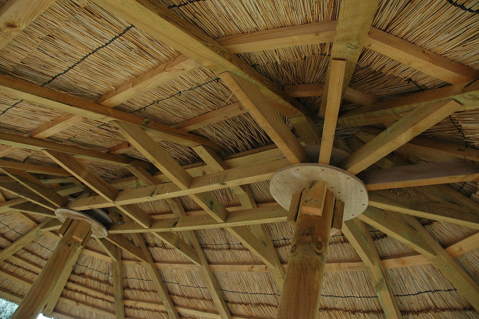 structure de parasols ovales