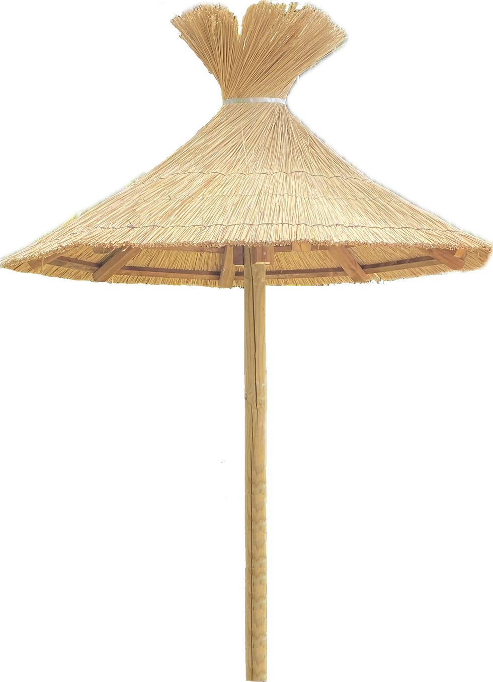 Parasol Bois et roseaux de Camargue