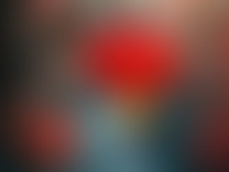 Embracing the Year of the Horse: A Journey of Renewal