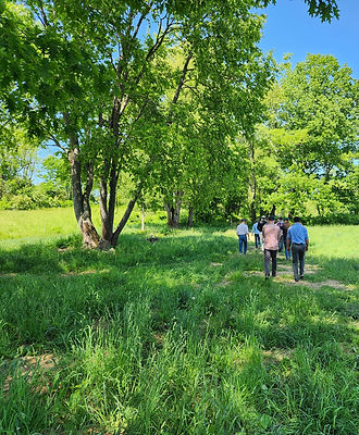 Stratham Hill Park
