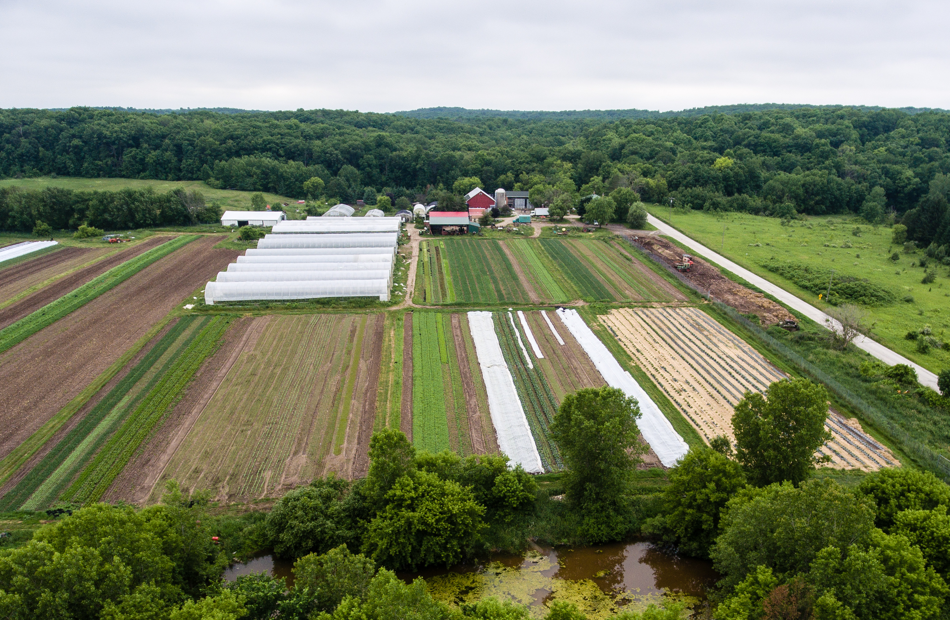 Photos Springdale Farm
