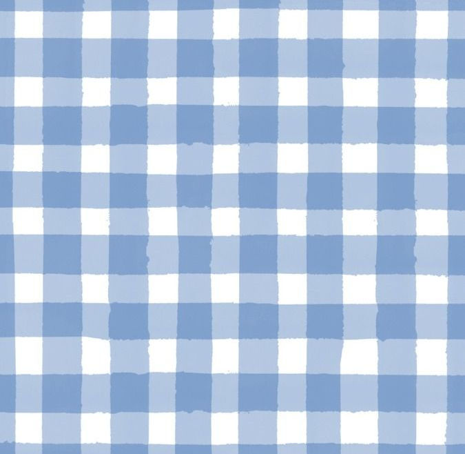 blue plaid.jpg