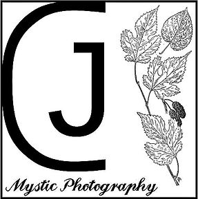 MPhoto LOGO (2).JPG