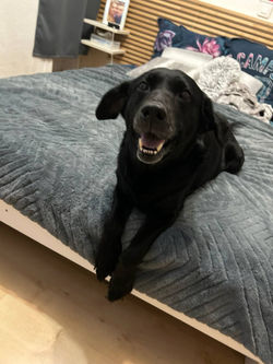 photo_6044319789788285552_y