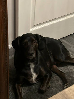 photo_6008076605181774356_y