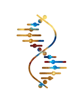DNA transparent isolated.png