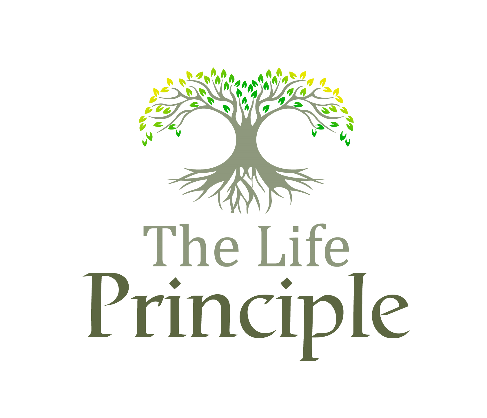 basic data privacy principles basic data privacy principles