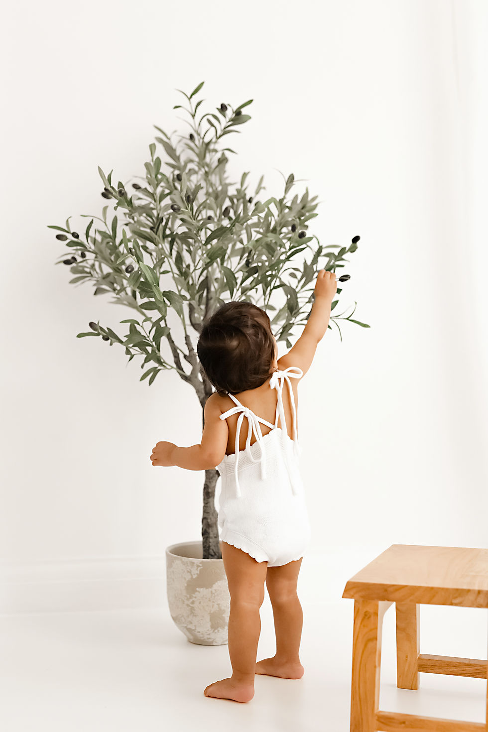 Toddler standing beside an indoor potted olive tree in a bright home photography studio.