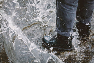 Cannabis Dog Whistle: Local Control