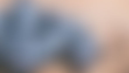 Dedication to a Friend