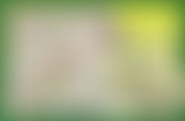 Texarkana approves Arkansas' First Medicinal Cannabis Regs