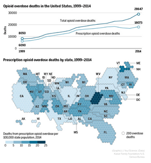 Should Cannabis Be a Weapon Against America’s Opioid Addiction Crisis?