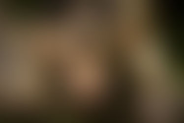 Maine Legislature Lives Up to State Motto, Overrides Governor's Veto