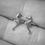 Thumbnail: Teeny Tiny Silver Seahorse Earrings 