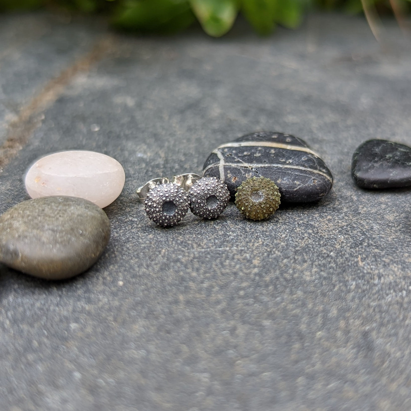 Silver sea urchin earrings 