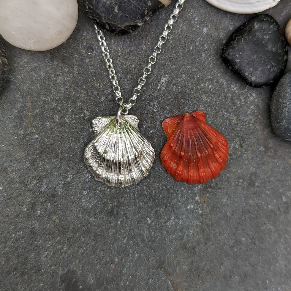 Thumbnail: Silver Sunrise Shell Necklace 