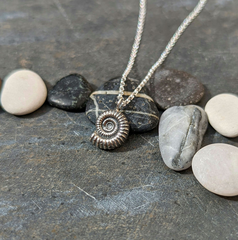 Thumbnail: Jurassic Coast Ammonite necklace