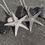 Thumbnail: Silver or Gold Cast Starfish Necklace - Large 3cm