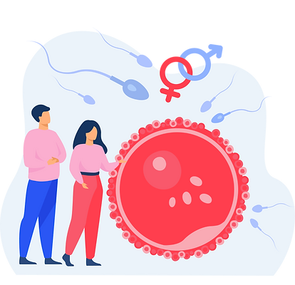 Graphic representation of Female infertility