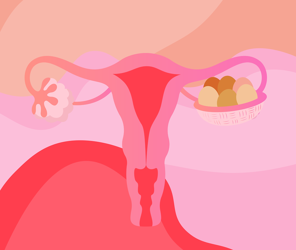 Graphic representation of female reproductive system and eggs.