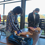 Two people practicing CPR on manakins
