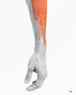 Bodypaint Model Fotografie