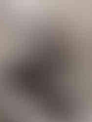 Fotostudio von TDRgents in Hamburg