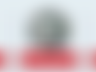 🧐 More Than One Way to Be Smart: A Guide to Multiple Intelligences