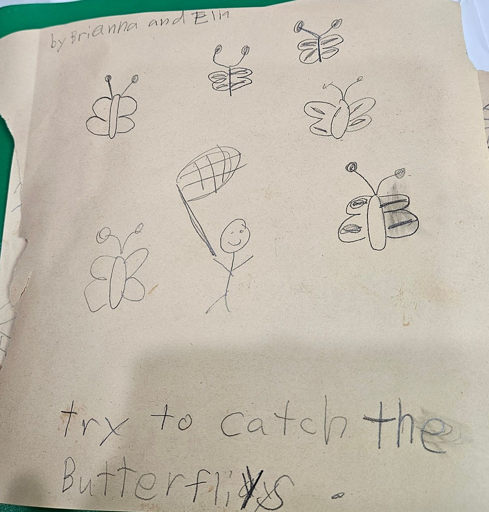 The Butterfly Hunt by Brianna and Elia with AI