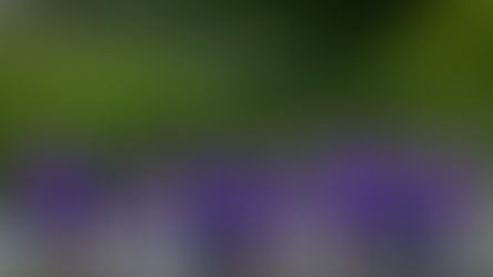 O TIME DO POVO VEM AI! CORINTHIANS X BRAGANTINO: VEJA ONDE ASSISTIR, HORÁRIOS E ESCALAÇÕES