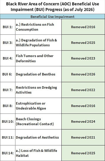 BUI Table.jpg